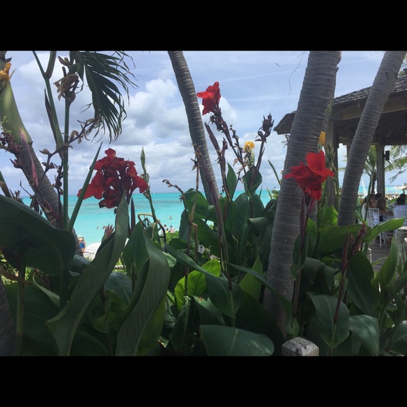 Meet your Posher, JFly - Picture 3 of 4